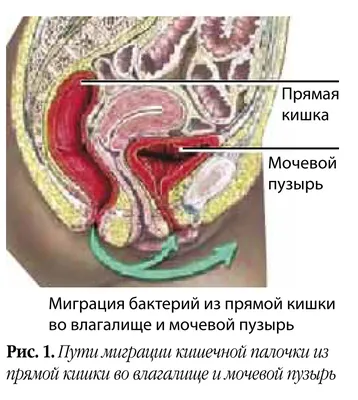 КЛИНИЧЕСКИЕ НАБЛЮДЕНИЯ