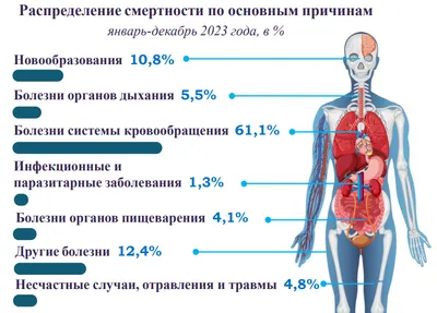 Курс НМО Инфекционные и паразитарные заболевания кожи 36 часов