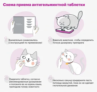 Капли против паразитов для кошек АВЗ ДИРОНЕТ СПОТ-ОН, 1 мл, 3 шт - отзывы  покупателей на маркетплейсе Мегамаркет | Артикул товара:100026947037