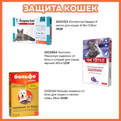 Купить Капли для кошек INSPECTOR Quadro от внешних и внутренних паразитов  (от 4-8кг) 1 пипетка в Бетховен