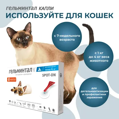 СЕЛАФОРТ капли от внешних и внутренних паразитов для кошек 7.6-10 кг купить  в Саратове с доставкой