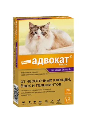 528₽ - Капли для кошек Квадро К 1-4 кг, №1 от внешних и внутренних паразитов  0.4мл - купить в Набережных Челнов