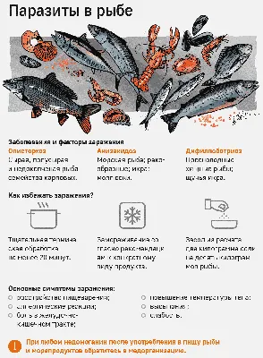 Глисты в рыбе: как выглядят и что делать, если съела зараженную рыбу -  tochka.net