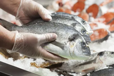 Каких паразитов можно подхватить после поедания рыбы из Цимлянского  водохранилища