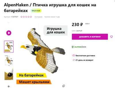 парящая птица PNG , птица, летать, крылья PNG картинки и пнг PSD рисунок  для бесплатной загрузки