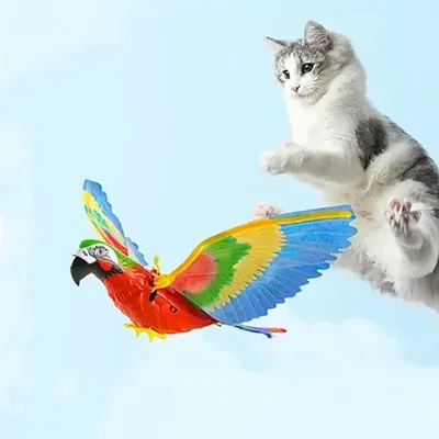 Птица стая, электрическая подвесная летающая птица, кошка, забавная кошка,  палка для захвата, веревка, игрушка для собак, устойчивая к укусам простая  игрушка для кошек | AliExpress