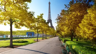 Eiffel Tower, night, paris, HD phone wallpaper | Peakpx