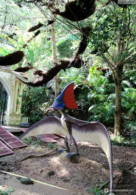 Парк птиц» в Куала-Лумпуре.