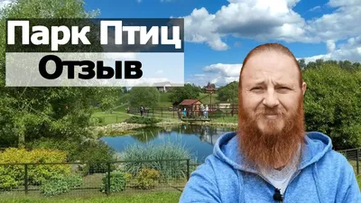 Парк птиц ВОРОБЬИ — Анастасия Курочкина на TenChat.ru