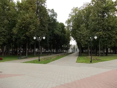 Парк «Орленок» в Воронеже могут благоустроить за 240 млн рублей –  Коммерсантъ Воронеж