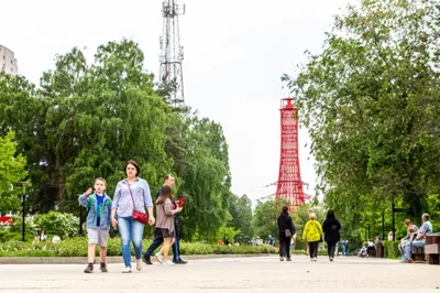 Прокурорская проверка воронежского парка «Орленок» вылилась в уголовное  дело о хищении