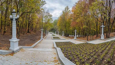 ПАРКИ ВОРОНЕЖА ПРИГЛАШАЮТ К СОТРУДНИЧЕСТВУ! | Центральный парк города  Воронеж