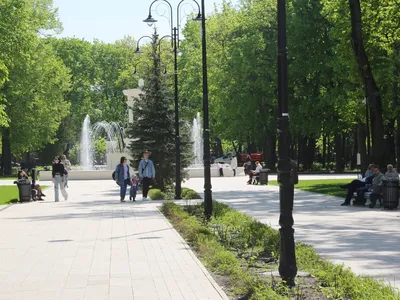 Власти Воронежа намерены реконструировать парк «Танаис» за ₽180 млн — РБК