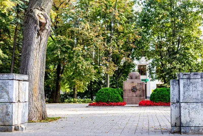 Центральный парк закроют в Воронеже