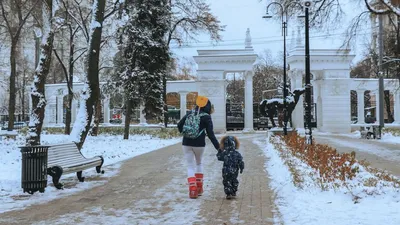Движение у Центрального парка Воронежа ограничили на время фестиваля  «Город-сад»