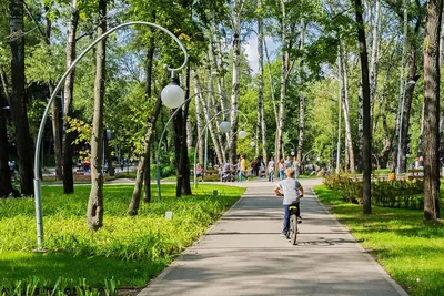 Литературный парк в Воронеже подорожал на 41 млн рублей — РБК