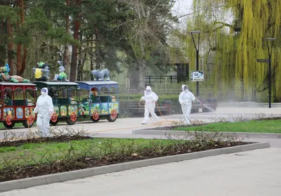 Воронежский парк культуры и отдыха «Орленок» открывает новый проект «Летний  ретрокинозал»
