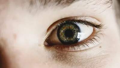 25 Знаменитостей, обладающих зелёным цветом глаз
