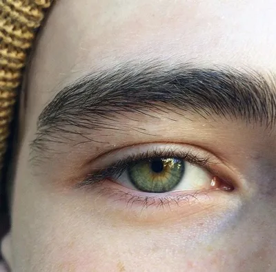 𝐨𝐝𝐞𝐥𝐢𝐚 | Зеленые глаза, Эстетика, Глаза