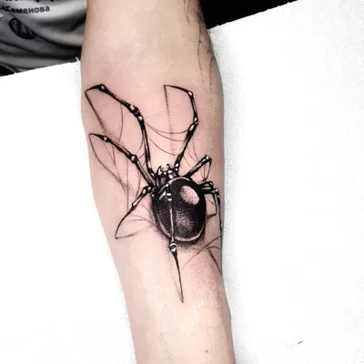 Фото тату паук трайбл сделать в тату салоне в Москве по низкой цене