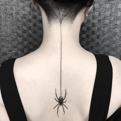 Эскиз тату паук плетет паутину в …» — создано в Шедевруме