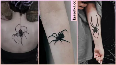 Паук эскиз тату spider | Тату паука, Мужские татуировки, Татуировка в стиле  панк