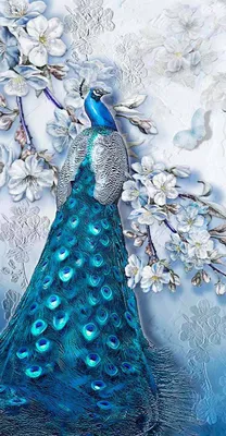 Фотообои Синий павлин купить в Оренбурге, Арт. 7-512 в интернет-магазине,  цены в Мастерфресок