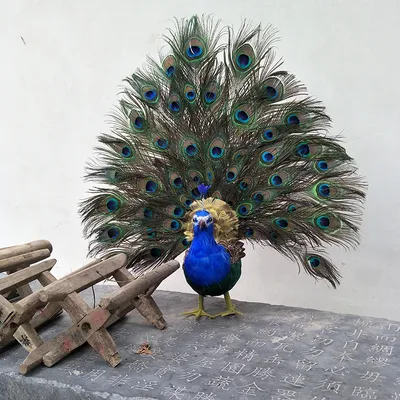 Павлин птица , эстетично, красиво, …» — создано в Шедевруме