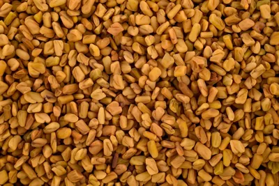 Пажитник семена (Шамбала, Хельба, Чаман) травяной чай, специи и приправы  для блюд - купить с доставкой по выгодным ценам в интернет-магазине OZON  (484764494)