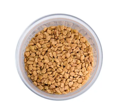 ꕤ Пажитник семена микрозелени 20 г • купить Пажитник семена микрозелени 20  г по цене от 14.99 грн. в Украине