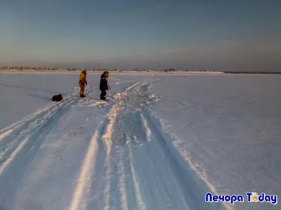 На Печоре погиб еще один водитель снегохода | Комиинформ