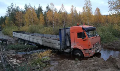 В Печоре остановились перегоняемые из ЯНАО в Коми олени « БНК