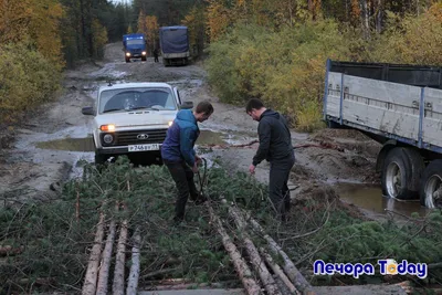 Мэр Печоры планирует уйти на СВО | Комиинформ