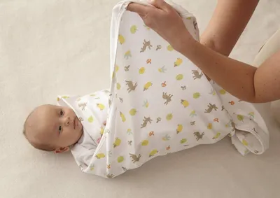 Как правильно пеленать новорожденного — все о здоровом воспитании и питании  ребенка | Бибиколь - Детское питание на основе козьего молока