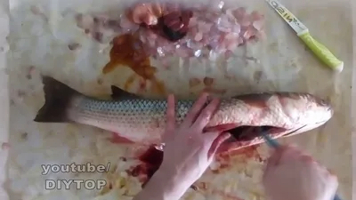 Рыба Черноморская кефаль - «Кефаль - жирная, сочная рыба! (+ фото рыбы)» |  отзывы