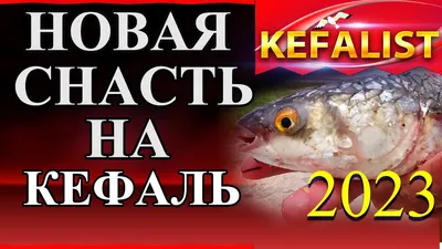 kumholod_opt - Кефаль (Пеленгас) 300-500, 500-1000 Район... | Facebook