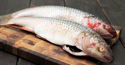 В наличии порционный пеленгас 🐟😋 Кто не знает, это морская рыба  практически без костей , и ещё очень очень вкусная 😋😋😋 Чистим, есть… |  Instagram