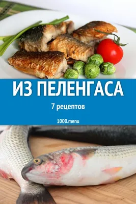 Пеленгас вяленый (ID#1145873295), цена: 350 ₴, купить на Prom.ua