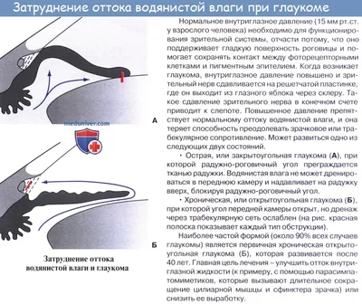 Глаз иллюстрации : нормальная анатомия | e-Anatomy