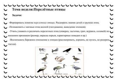 Центр учебных пособий - Плакат \"Перелетные птицы\"