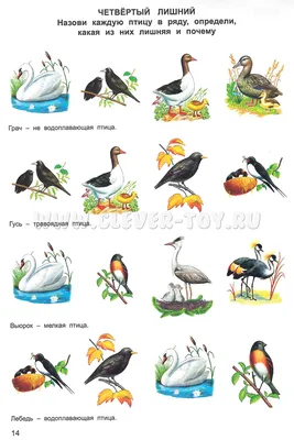 Knigi-janzen.de - Перелетные птицы | | 978-5-4315-1636-8 | Купить русские  книги в интернет-магазине.