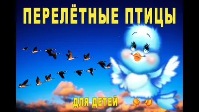 В столичный регион возвращаются перелетные птицы - Российская газета