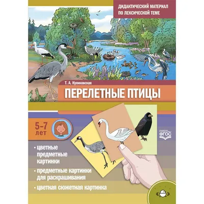 Холодно и голодно. Почему перелётные птицы прибывают на Урал с опозданием?  | Экология | ОБЩЕСТВО | АиФ Урал