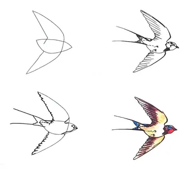 Куда летят перелётные птицы?, П. М. Волцит – слушать онлайн или скачать mp3  на ЛитРес
