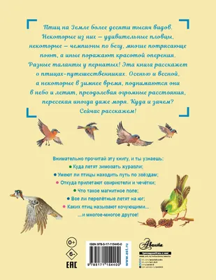 Уроки рисования для детей. Перелетные птицы | Risovashki.TV - Дети и  Родители | Дзен