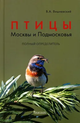 В Московской области перелетные птицы начали собираться улетать на зимовку  - новости Подмосковья | Атмосфера
