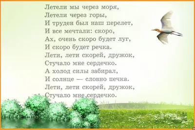 Эндемики России: какие птицы живут только в нашей стране? - Новости РГО