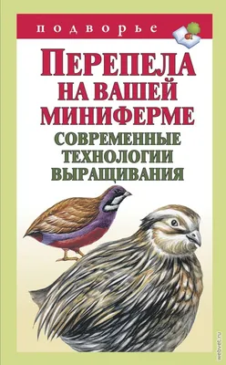 Перепела Перепела пород Селадон, Маньчжурский, Эстонский |  Сельскохозяйственные животные в Дмитрове – БесплатныеОбъявления.рф