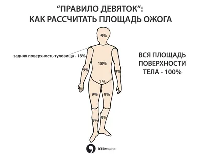 Как лечить ожоги, чтобы бы не было рубцов: первая помощь и правила -  Рамблер/новости