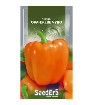Семена перца желтого, раннего \"Богдан\" (0,3 г) от ТМ \"Велес\"  (ID#1736149316), цена: 5.30 ₴, купить на Prom.ua
